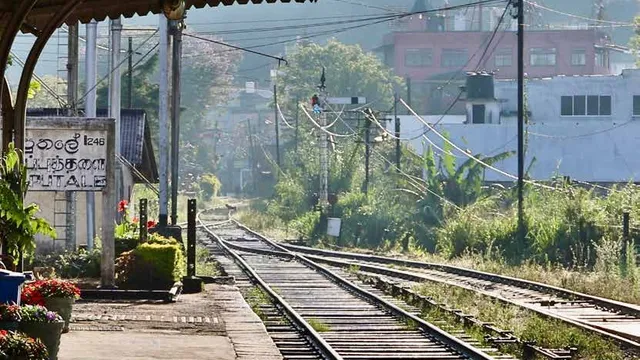 Freedom from Division