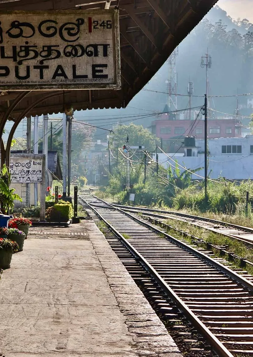 Freedom from Division