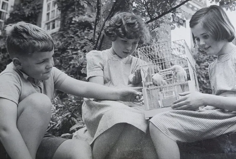 Pupils at Ibstock Place School