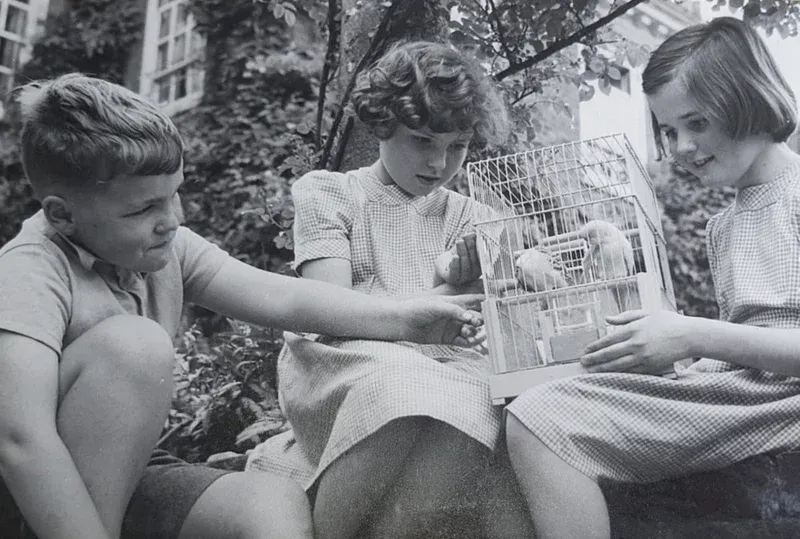 Pupils at Ibstock Place School