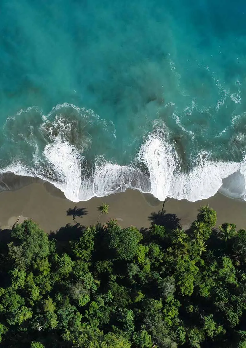 Weightless Privilege, Heavier Consequences