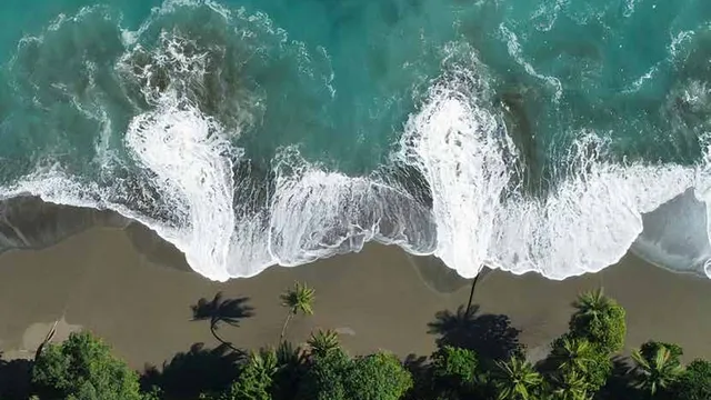 Weightless Privilege, Heavier Consequences